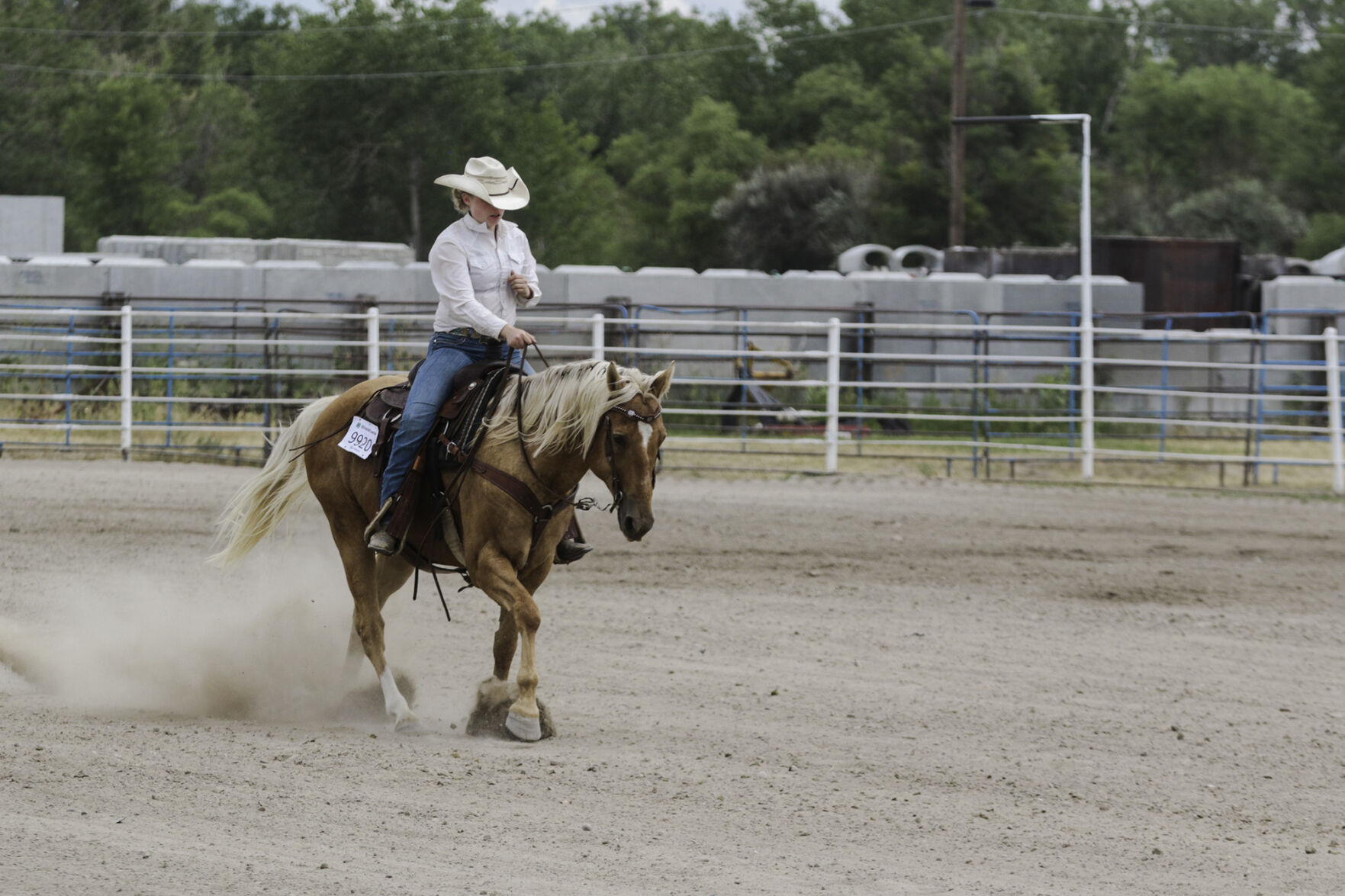 PHOTOS: 4-H Horse Show 2020
